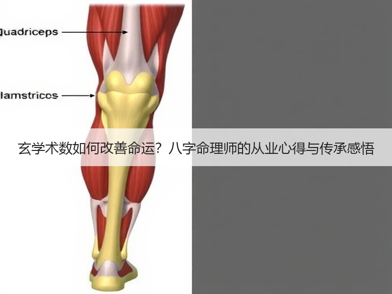 玄学术数如何改善命运？八字命理师的从业心得与传承感悟