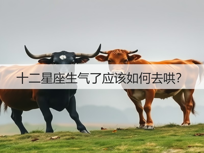 十二星座生气了应该如何去哄？