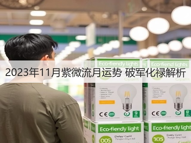 2023年11月紫微流月运势 破军化禄解析(图1)