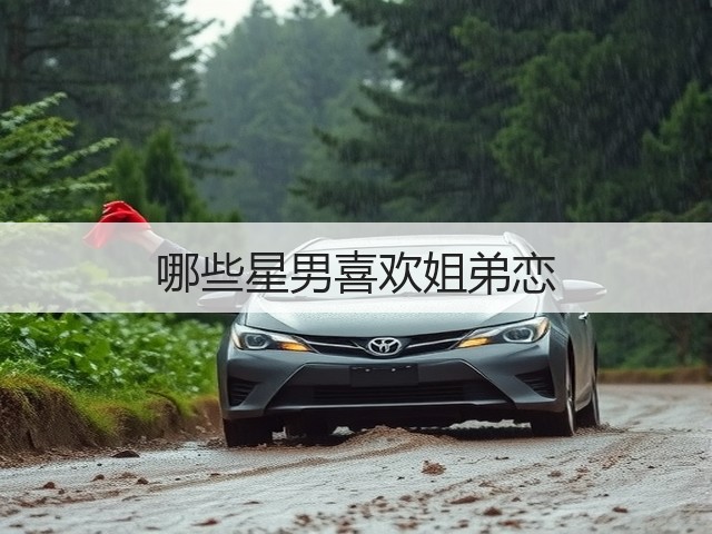 哪些星男喜欢姐弟恋(图2)