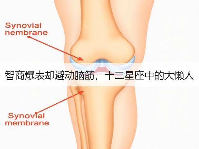 智商爆表却避动脑筋,十二星座中的大懒人(图1) 智商爆表却避动脑筋,十二星座中的大懒人(图1)