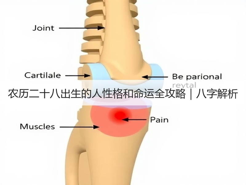 农历二十八出生的人性格和命运全攻略｜八字解析