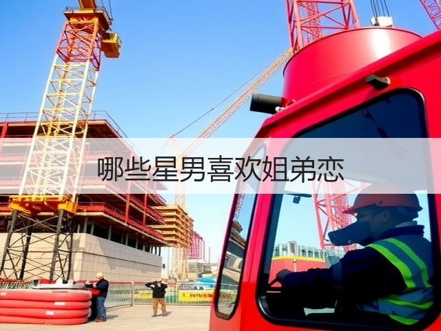 哪些星男喜欢姐弟恋(图3)