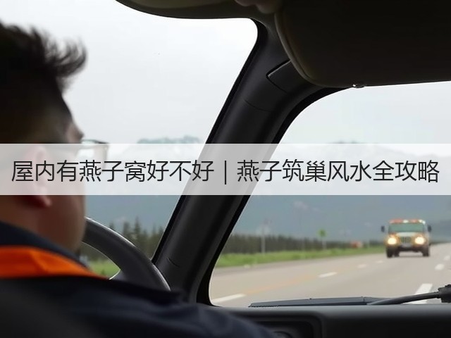 屋内有燕子窝好不好｜燕子筑巢风水全攻略(图1)