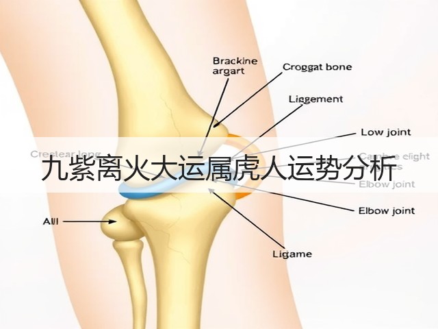 九紫离火大运属虎人运势分析(图1) 九紫离火大运属虎人运势分析(图1)