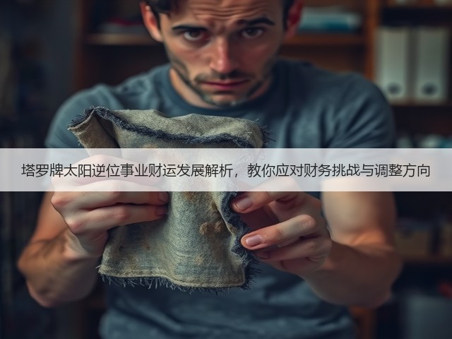 塔罗牌太阳逆位事业财运发展解析，教你应对财务挑战与调整方向(图2)