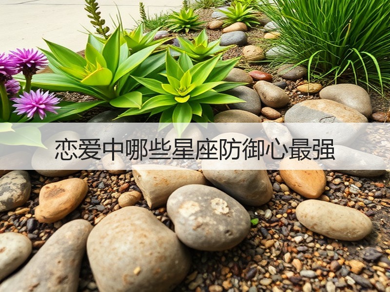 恋爱中哪些星座防御心最强