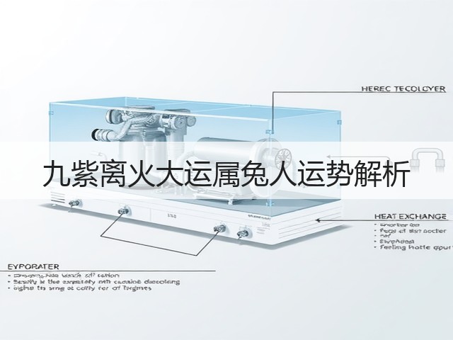 九紫离火大运属兔人运势解析(图2) 九紫离火大运属兔人运势解析(图2)