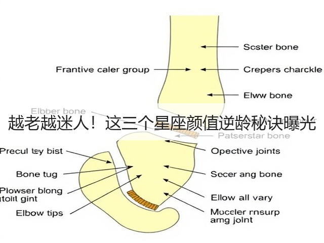 越老越迷人!这三个星座颜值逆龄秘诀曝光(图3) 越老越迷人!这三个星座颜值逆龄秘诀曝光(图3)