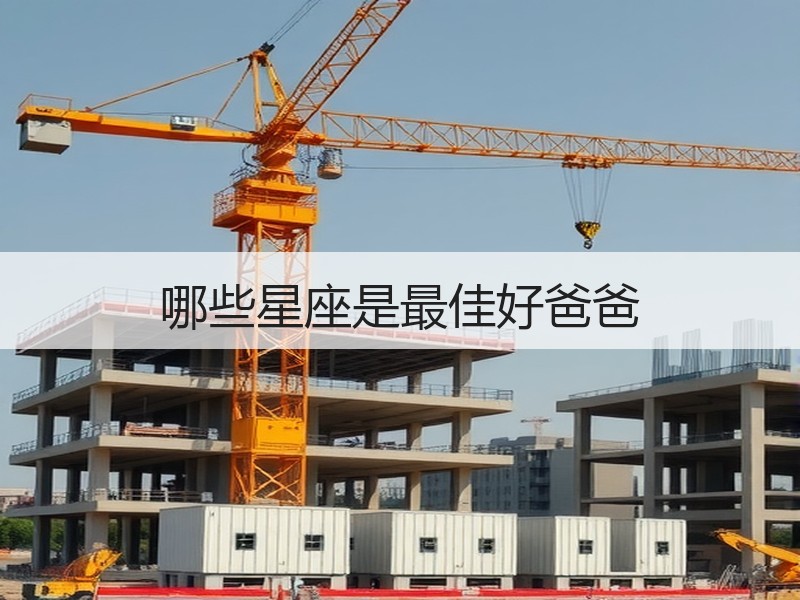 哪些星座是最佳好爸爸