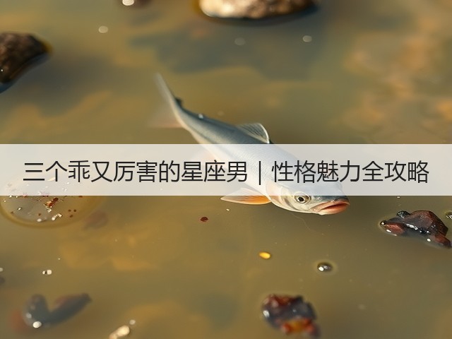 三个乖又厉害的星座男|性格魅力全攻略(图3) 三个乖又厉害的星座男|性格魅力全攻略(图3)