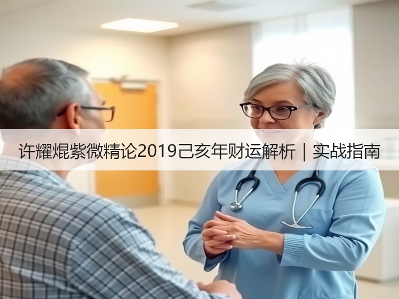 许耀焜紫微精论2019己亥年财运解析｜实战指南