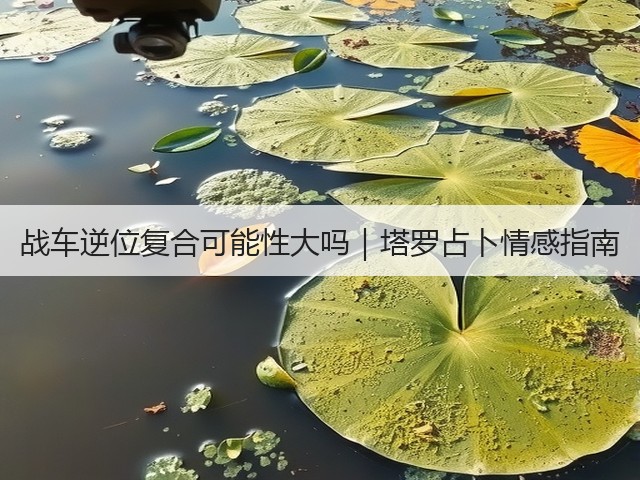 战车逆位复合可能性大吗｜塔罗占卜情感指南(图3)