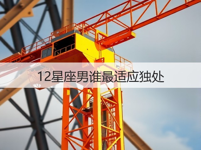 12星座男谁最适应独处(图2) 12星座男谁最适应独处(图2)