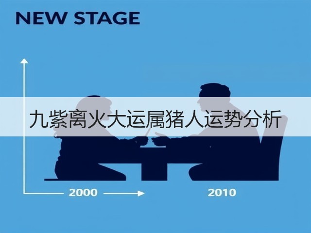 九紫离火大运属猪人运势分析(图1) 九紫离火大运属猪人运势分析(图1)