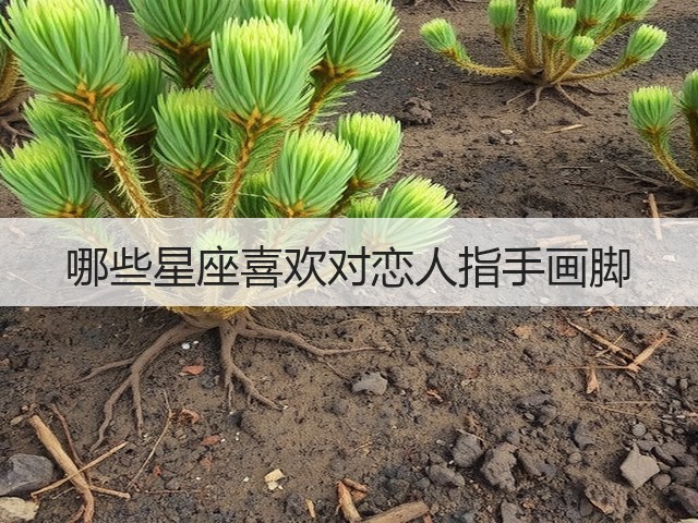 哪些星座喜欢对恋人指手画脚(图2) 哪些星座喜欢对恋人指手画脚(图2)