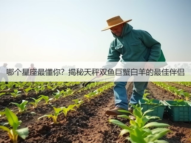 哪个星座最懂你?揭秘天秤双鱼巨蟹白羊的最佳伴侣(图3) 哪个星座最懂你?揭秘天秤双鱼巨蟹白羊的最佳伴侣(图3)