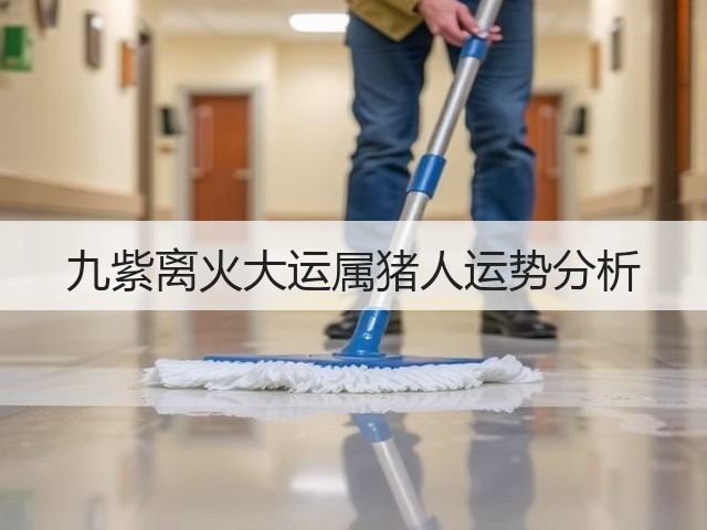九紫离火大运属猪人运势分析(图3) 九紫离火大运属猪人运势分析(图3)