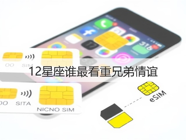 12星座谁最看重兄弟情谊(图1)