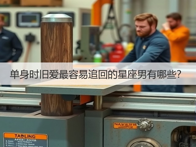 单身时旧爱最容易追回的星座男有哪些？(图2)