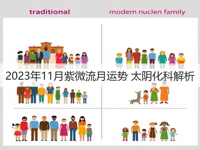 2023年11月紫微流月运势 太阴化科解析(图1)