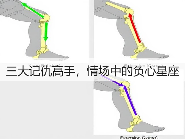 三大记仇高手,情场中的负心星座(图1) 三大记仇高手,情场中的负心星座(图1)