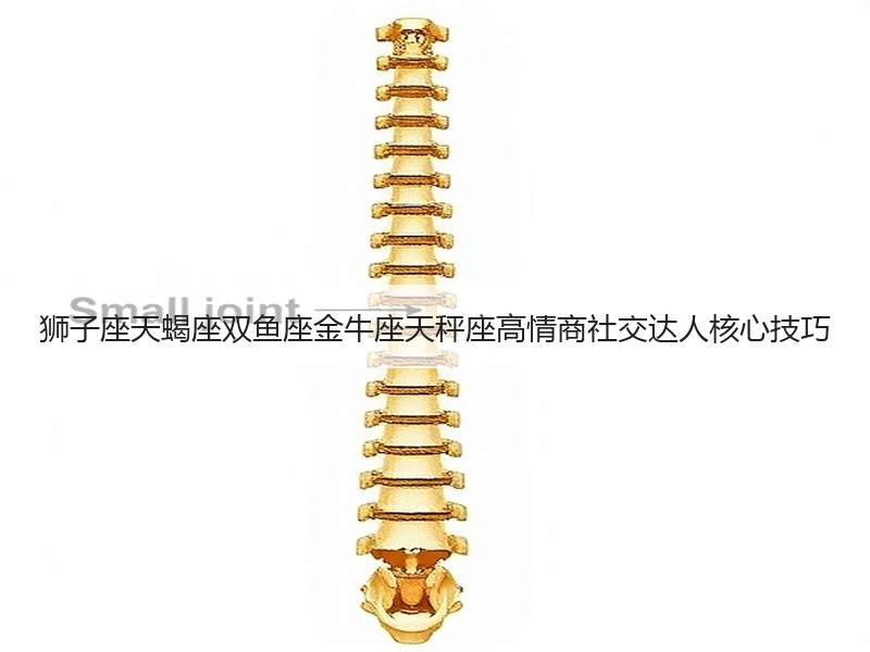 狮子座天蝎座双鱼座金牛座天秤座高情商社交达人核心技巧