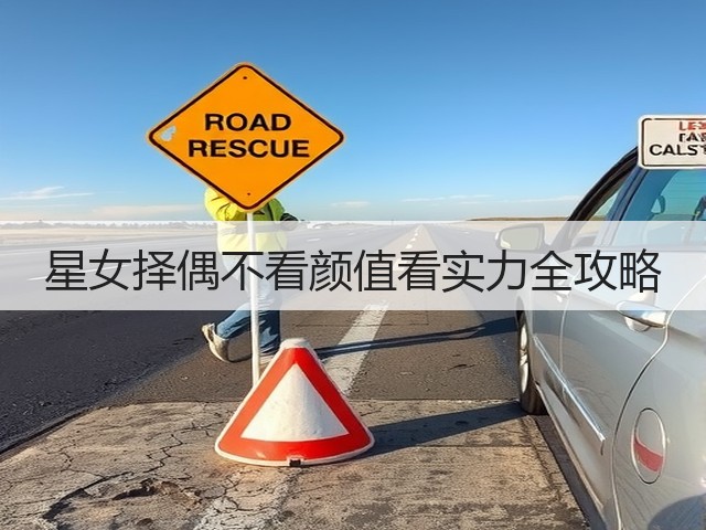 星女择偶不看颜值看实力全攻略(图2) 星女择偶不看颜值看实力全攻略(图2)