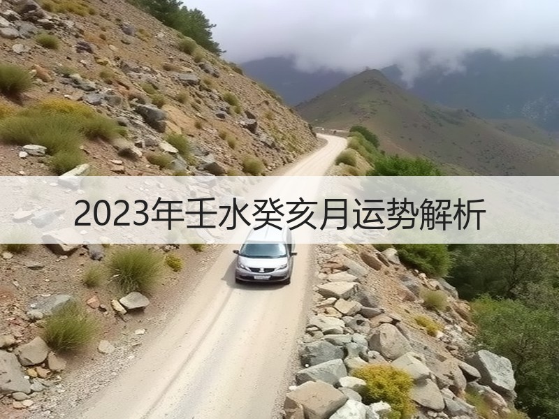 2023年壬水癸亥月运势解析