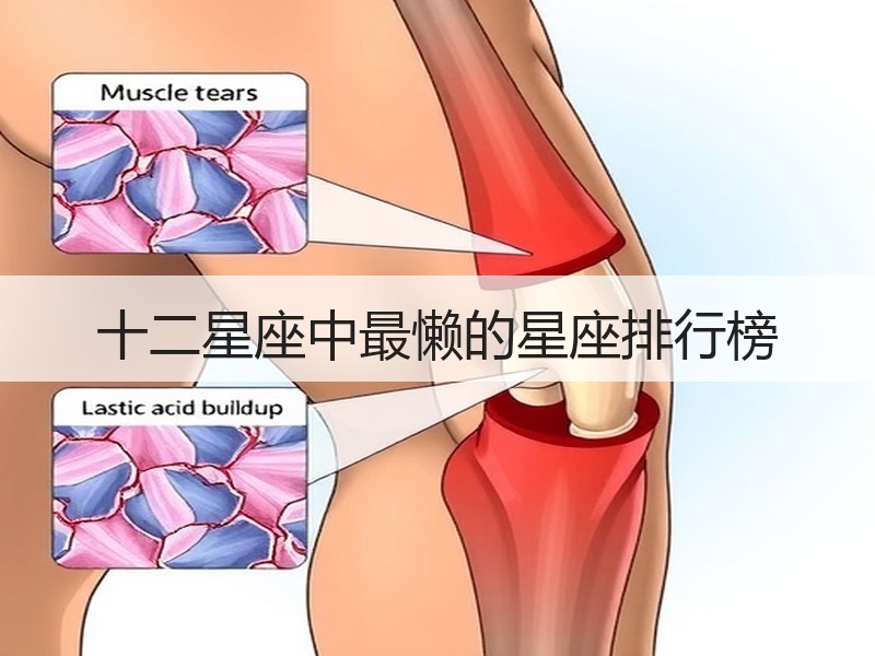 十二星座中最懒的星座排行榜