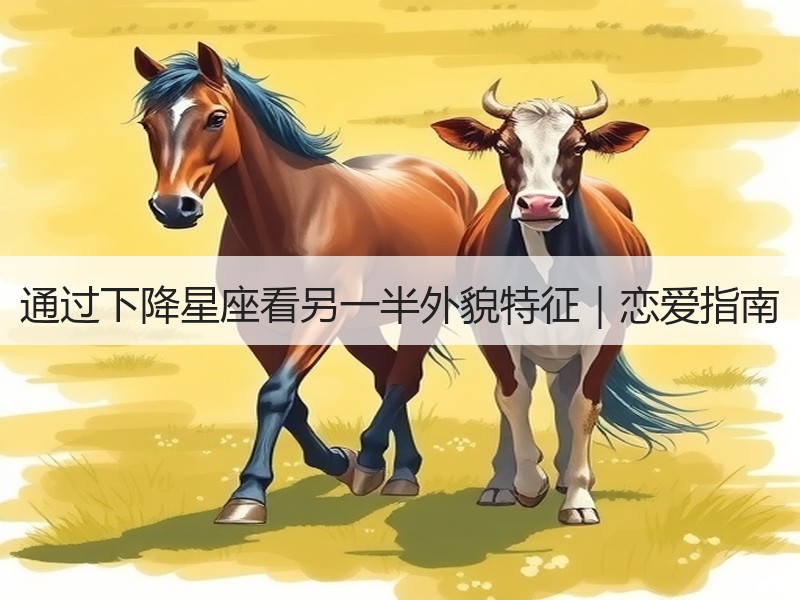 通过下降星座看另一半外貌特征｜恋爱指南