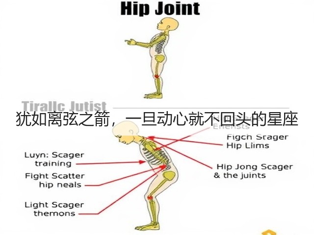 犹如离弦之箭,一旦动心就不回头的星座(图1) 犹如离弦之箭,一旦动心就不回头的星座(图1)