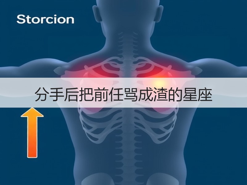 分手后把前任骂成渣的星座
