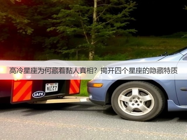 高冷星座为何藏着黏人真相?揭开四个星座的隐藏特质(图2) 高冷星座为何藏着黏人真相?揭开四个星座的隐藏特质(图2)