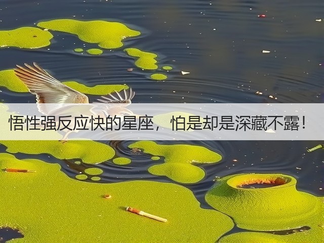 悟性强反应快的星座，怕是却是深藏不露！(图3)
