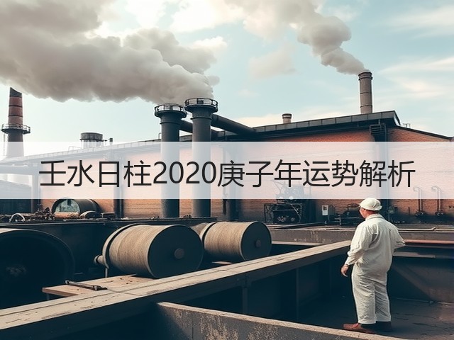壬水日柱2020庚子年运势解析(图3) 壬水日柱2020庚子年运势解析(图3)