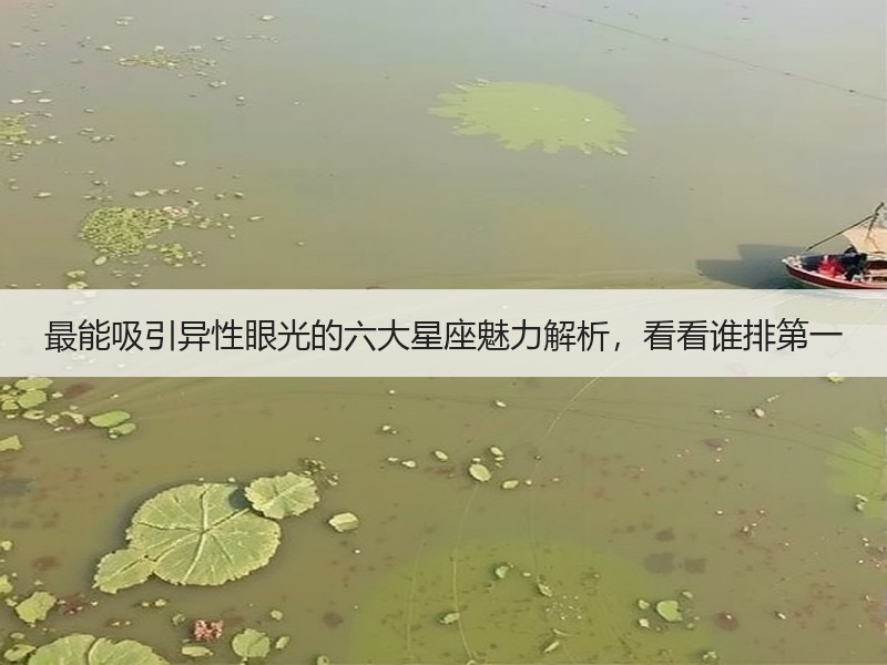 最能吸引异性眼光的六大星座魅力解析，看看谁排第一