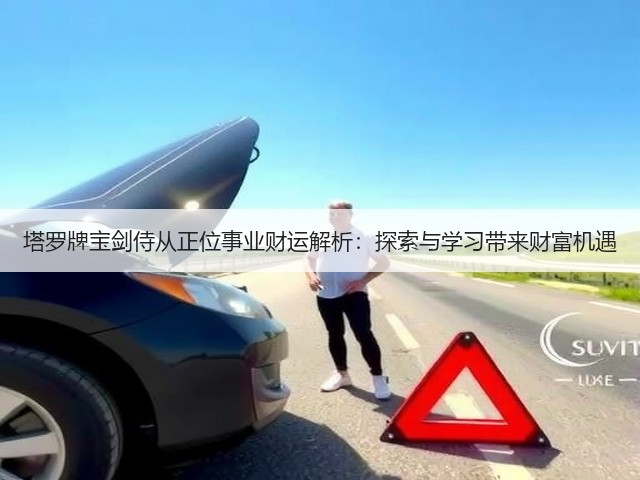 塔罗牌宝剑侍从正位事业财运解析：探索与学习带来财富机遇(图2)