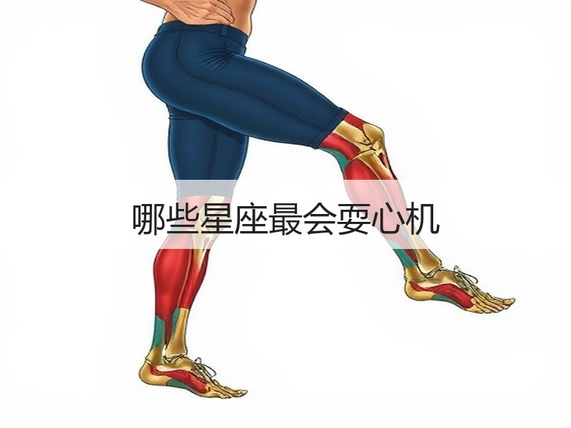 哪些星座最会耍心机