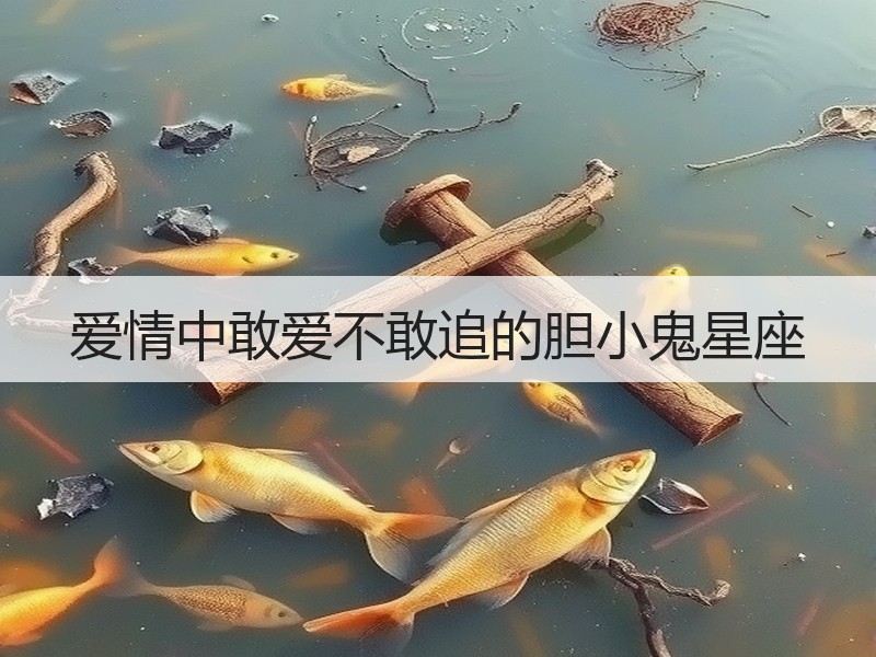 爱情中敢爱不敢追的胆小鬼星座