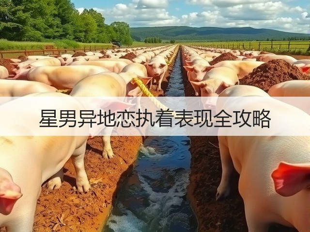 星男异地恋执着表现全攻略(图3) 星男异地恋执着表现全攻略(图3)
