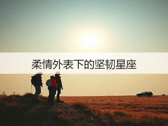 柔情外表下的坚韧星座(图3) 柔情外表下的坚韧星座(图3)