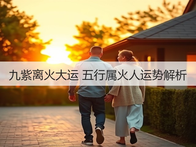 九紫离火大运 五行属火人运势解析(图1) 九紫离火大运 五行属火人运势解析(图1)