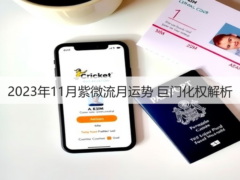 2023年11月紫微流月运势 巨门化权解析