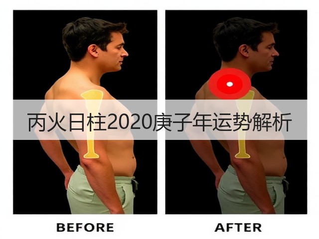 丙火日柱2020庚子年运势解析(图1)