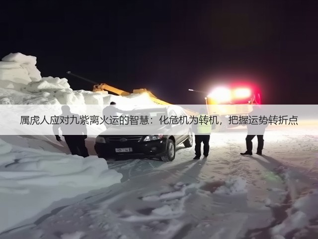 属虎人应对九紫离火运的智慧:化危机为转机,把握运势转折点(图2) 属虎人应对九紫离火运的智慧:化危机为转机,把握运势转折点(图2)