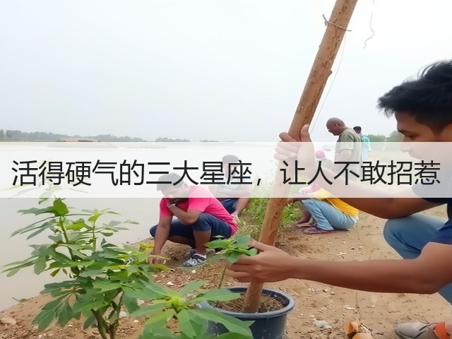 活得硬气的三大星座,让人不敢招惹(图1) 活得硬气的三大星座,让人不敢招惹(图1)
