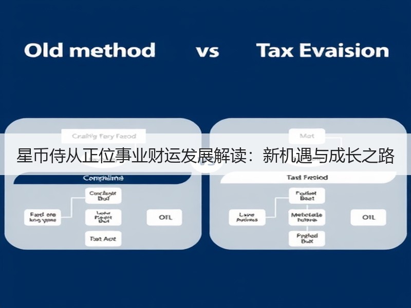 星币侍从正位事业财运发展解读：新机遇与成长之路