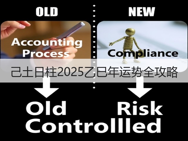 己土日柱2025乙巳年运势全攻略(图1)