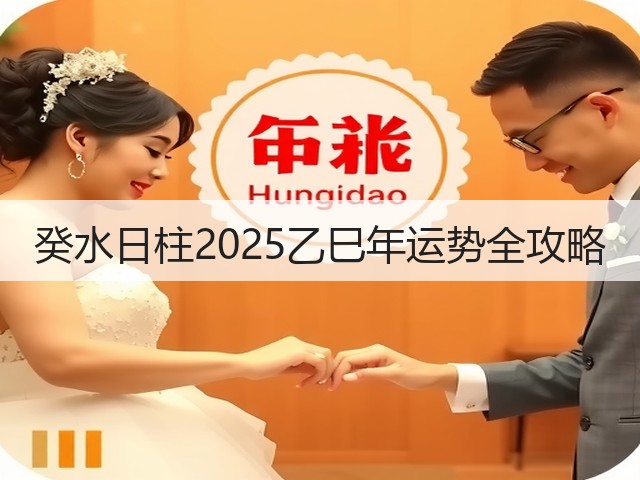 癸水日柱2025乙巳年运势全攻略(图2)
